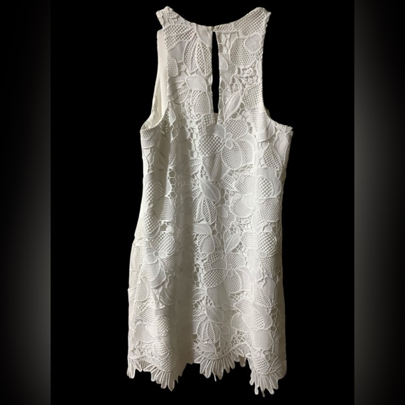 Lilly Pulitzer Marlissa Shift Resort White Jumbo Floral
Scallop Lace Dress, SZ 2 - Picture 6 of 16